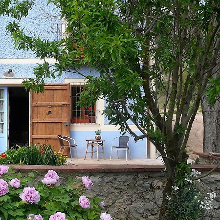 La Casanova De Beuda Villa Bilik gambar